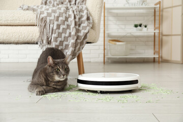 Cute cat, scattered litter and robot vacuum cleaner at home