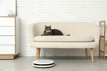 Cute cat and modern robot vacuum cleaner at home