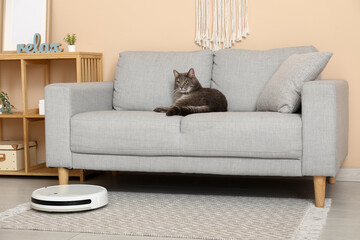 Modern robot vacuum cleaner and cute cat lying on sofa at home