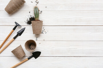 Cactus in peat pot, rake and shovel on white wooden background. Top view
