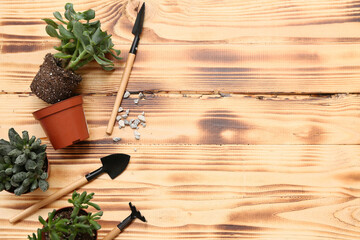 Composition with plant and tools for transplanting on beige wooden background. Top view