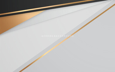 modern abstract black  white and golden luxury lines background