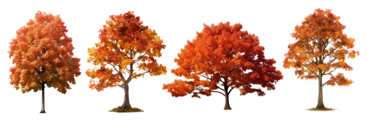 Autumn trees png cut out element set