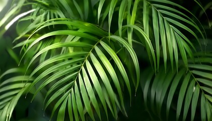 The background features the texture of palm branches
