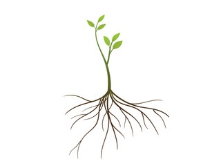 Young green Tree with Roots and leaves vector illustration