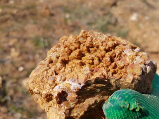 Botryoidal chalcedony capping siliceous rock, field photo, Russia