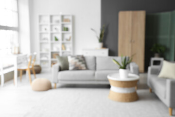 View of blurred living room with grey sofas, plants and tables