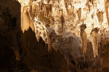 Rock formations in Carlsbad Caverns National Park, New Mexico
