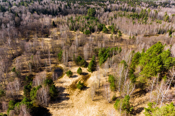 A picturesque valley overgrown with mixed forest in spring, aerial view. Natural monument Bunina gora, Kaluzhskiy region