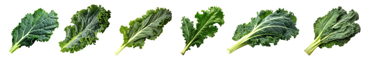 Kale png element set on transparent background