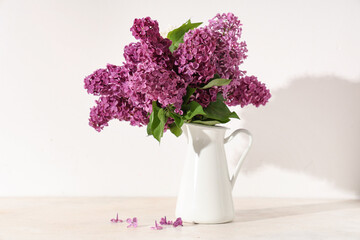 Jug with blooming lilac flowers on white background