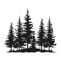 Pine trees silhouette vector