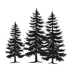 Pine trees silhouette vector