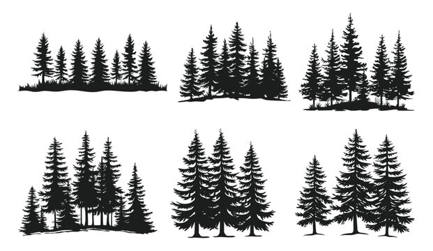 A set of pine trees silhouette vector