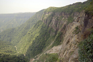 Fototapeta premium Evergreen mountain beautiful nature background