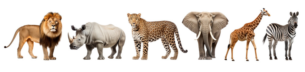 Obraz premium African safari animal png element set on transparent background