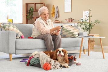 Senior woman watching TV with cute cavalier King Charles spaniel dog in pet bed at home