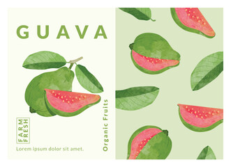 Guava fruit packaging design templates, watercolour style vector illustration.