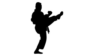 silhouette of man practicing karate combat