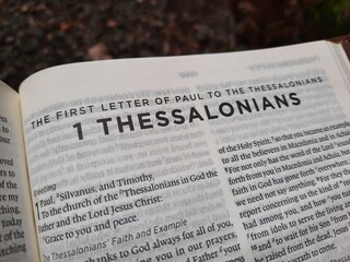 close up photo of a Bible page