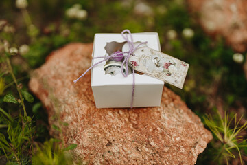 Cute gift in a white box on the grass. Hobby. Beekeeping. Small business. Artistic photo of...
