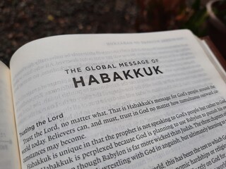 close up photo of a Bible page