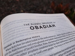 close up photo of a Bible page