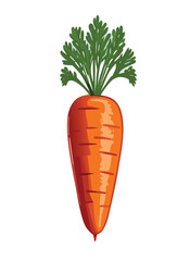 Vector simple carrot