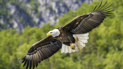 A powerful bald eagle soaring majestically with the American flag in its talons