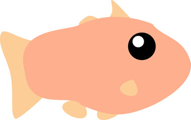 cute fish pet animal vector element illustration