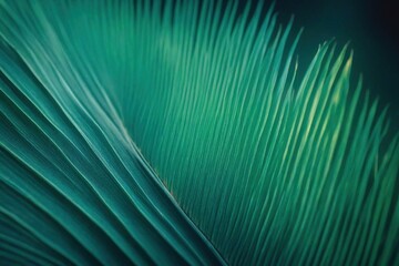 Background and Texture