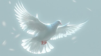 Fototapeta premium A white dove is flying in the sky