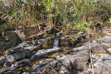 The Zavitan  stream flows into the Yehudia National Natural Park in northern Israel