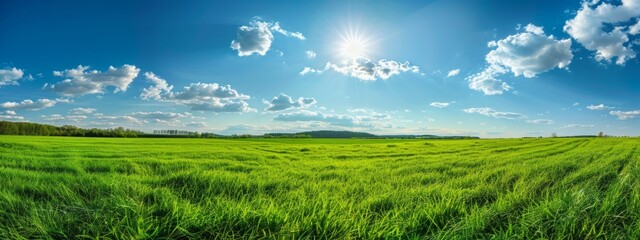 panoramic view of a beautiful green grass field with a blue sky and white clouds in the background