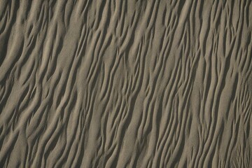 white sand texture
