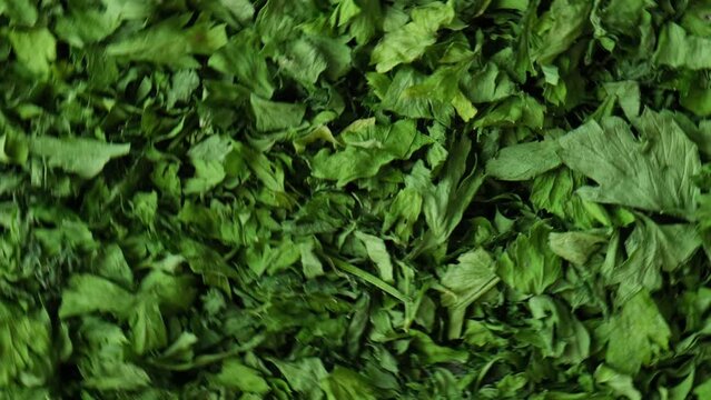 Fresh dried greenery parsley adaptogens ingredient rotate background. Herbal medicine healthy eating. Superfood prebiotic food. Sustainable homegrown organic herbs