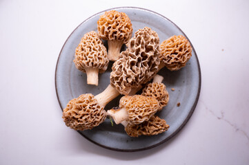 Pile of fresh morel mushrooms on blue plate and white counter