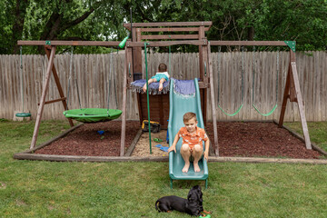 boy sliding down slide to dachshund in backyard