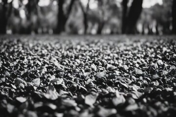 people walking in the park