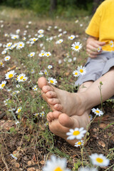 bare feet of a child sitting among a chamomile meadow. selective focus. joy, hello summer, relaxation, positive, cheerful childhood. energy of nature. Earth Day