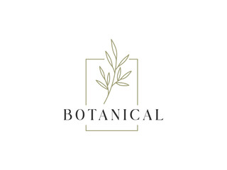 minimalist botanical logo vector illustration. beautiful floral logo template