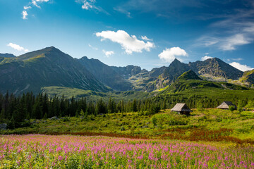 Tatra mountain, Poland. Kościelec peak  © ttinu