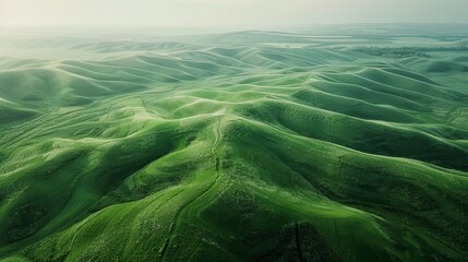 Green fields and rolling hills 