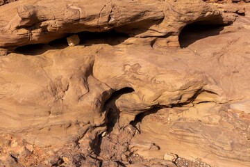 Journey through the Negev Desert