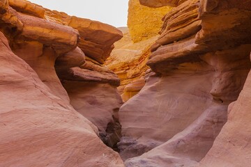 Journey through the Negev Desert