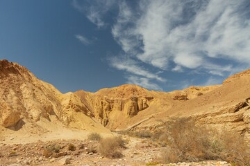 Journey through the Negev Desert