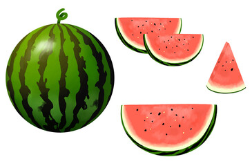 スイカ　西瓜　素材　カット　セット　果実　夏イメージ　シンプル　丸　納涼　挿絵　白背景　白バック　透過