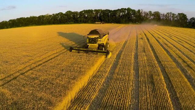 08.07 2014.combine harvesting grain on a field at sunset Krivoy Rog region Ukraine.