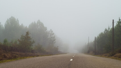 Paysages de campagne, noy&eacute;s sous un &eacute;pais brouillard matinal