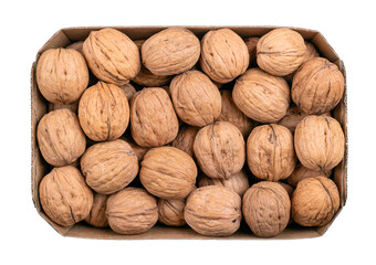 Walnuts in their shells, in a cardboard punnet. Unshelled dried seeds of common walnut tree Juglans regia. Whole nuts with shells, used as snack, for baking and as decoration in cardboard container.